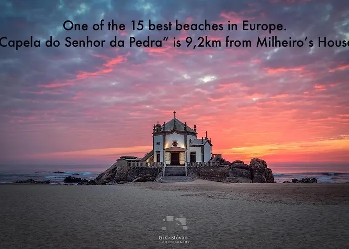 Casa Milheiro - Sunny Garden In Porto بيت للعطل Aguim