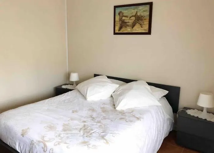 Casa Milheiro - Sunny Garden In Porto بيت للعطل *