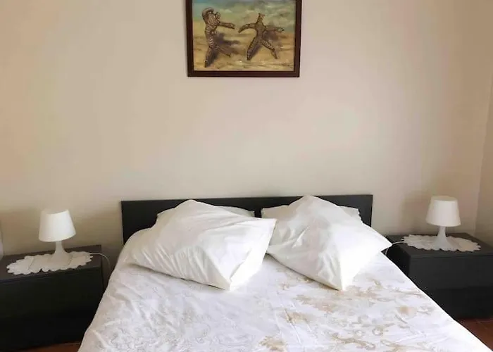 Casa Milheiro - Sunny Garden In Porto *